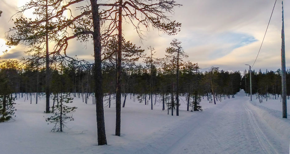 Langlaufen in Rovaniemi
